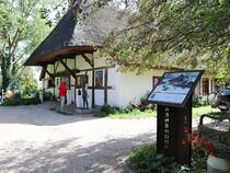 (8) Künstlerin: Elisabeth von Eicken - Werk: Dornenhaus im winterlichen Tauschnee