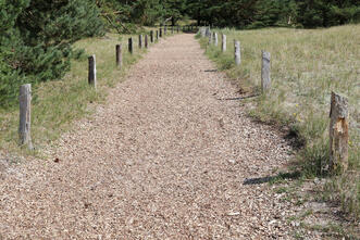 Rundwanderweg Darßer Ort - Wegbeschaffenheit