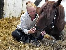 Reiterhof Andreas Völkner Ahrenshoop / Althagen