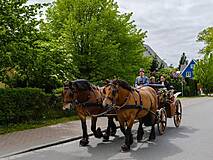 Kutsch- und Kremserfahrten Bergmann Prerow - Hochzeitskutsche