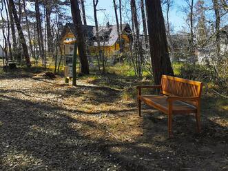 Walderlebnispfad Dierhagen - viele Sitzgelegenheiten