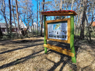 Walderlebnispfad Dierhagen - Infotafel Kiefer / Fichte