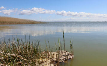 Barnstorf-Tour - Boddenzugang