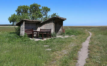 Barnstorf-Tour - Liebeslaube