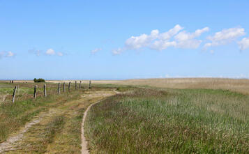 Barnstorf-Tour - Strand