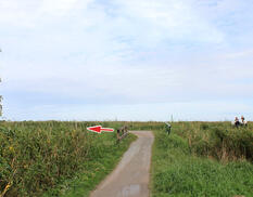 Fahrrad- und Reitweg am Bodden