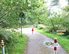 Fahrrad- und Reitweg am Bodden