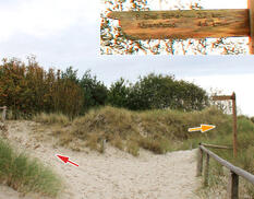 Fahrrad- und Reitweg am Bodden