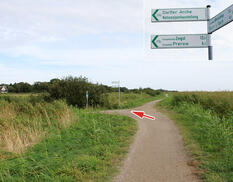 Fahrrad- und Reitweg am Bodden