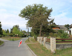 Fahrrad- und Reitweg am Bodden