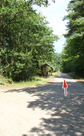 Ribnitzer Moor-Tour - Fischländer Weg, Richtung Moorkaten