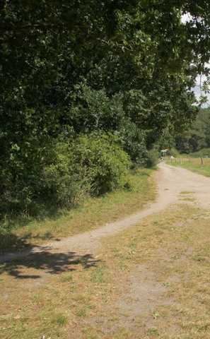 Ribnitzer Moor-Tour - links abbiegen Richtung Straße