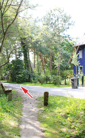 Ribnitzer Moor-Tour - Radweg