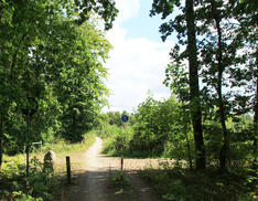 Radweg entlang der Ribnitzer Straße