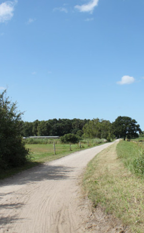 Ribnitzer Moor-Tour - am Bodden entlang
