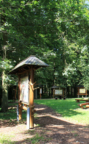 Ribnitzer Moor-Tour - Naturpfad