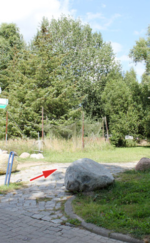 Ribnitzer Moor-Tour - Abzweig zum Dierhäger Hafen