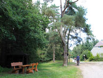 Ribnitzer Moor-Tour - Am Moorkaten