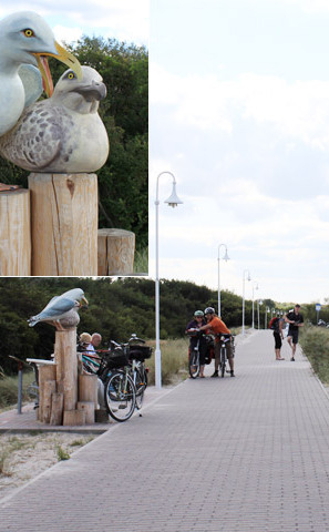 Ribnitzer Moor-Tour - Graal-Müritz