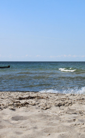 Ribnitzer Moor-Tour - Ostsee