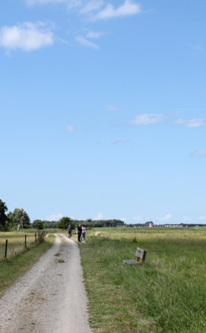 Ribnitzer Moor-Tour - am Bodden entlang