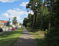 Ribnitzer Moor-Tour - Fahrradweg