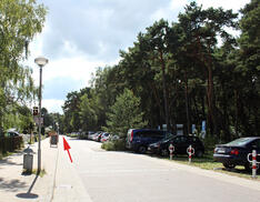 Ribnitzer Moor-Tour - Waldstraße