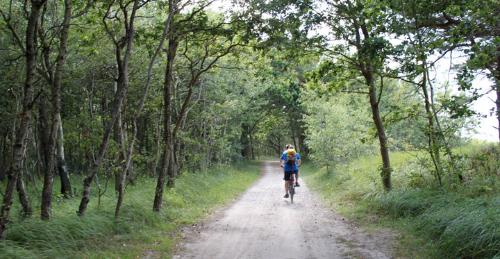 Ribnitzer Moor-Tour - Radweg