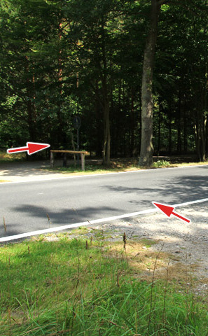 Ribnitzer Moor-Tour - Straßenüberquerung