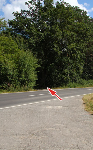 Ribnitzer Moor-Tour - Straße NVP1 überqueren, Richtung Dändorf