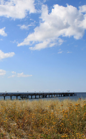 Ribnitzer Moor-Tour - Seebrücke Graal-Müritz