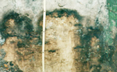 Bodenprofil - Altdarß