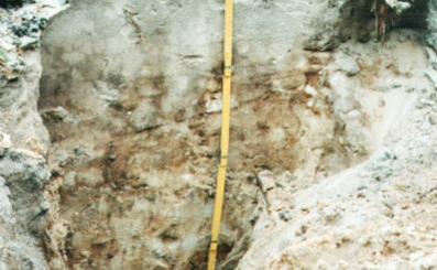 Bodenprofil - Neudarß