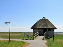 Kranichbeobachtungspunkt Zingst