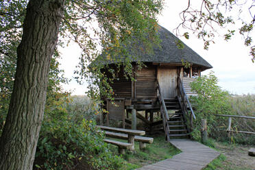 Kranichbeobachtungshütte Bisdorf