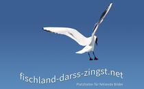 Festsaal im Born AQua