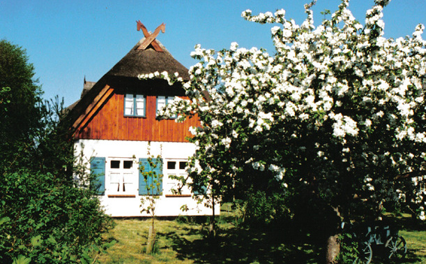 neu eingestellt: Ferienhaus in Prerow