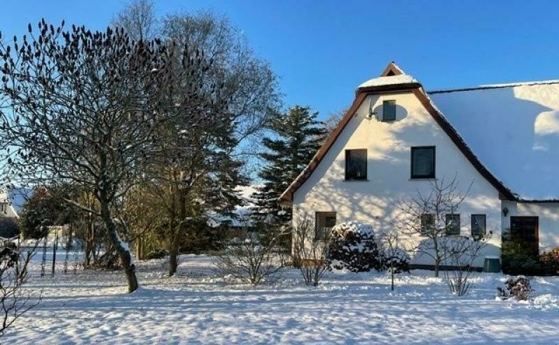 neu eingestellt: Ferienhaus »Haus an der Tanne« in Wieck a. Darß