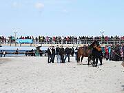 Ostern 2010 - Seebrücke Wustrow - Fischländer Strandgalopprennen