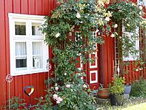 (26) Darßer Haustür - Lange Straße 40, Prerow