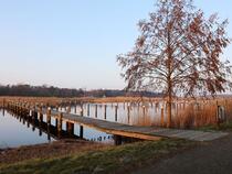 Hafen Prerow Stege