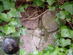 Markierung an der Kirchhofmauer