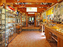 Darßer Bernsteinmuseum Prerow - Ausstellung