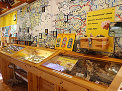 Darßer Bernsteinmuseum Prerow - Ausstellung