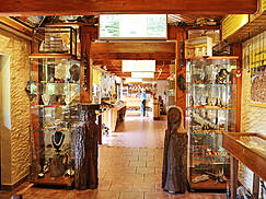 Darßer Bernsteinmuseum Prerow - Ausstellung