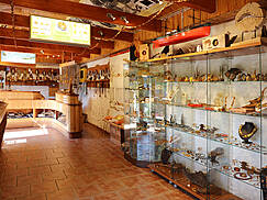 Darßer Bernsteinmuseum Prerow - Ausstellung