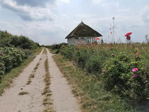 Ostseebad Wustrow - Weg zum Strandzugang 5