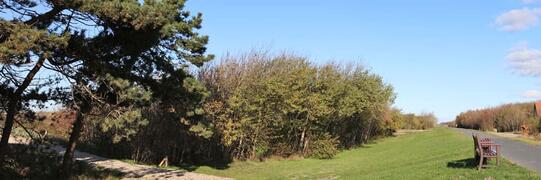 Nebelstation Wustrow (2017) / Deich nach dem Rückbau