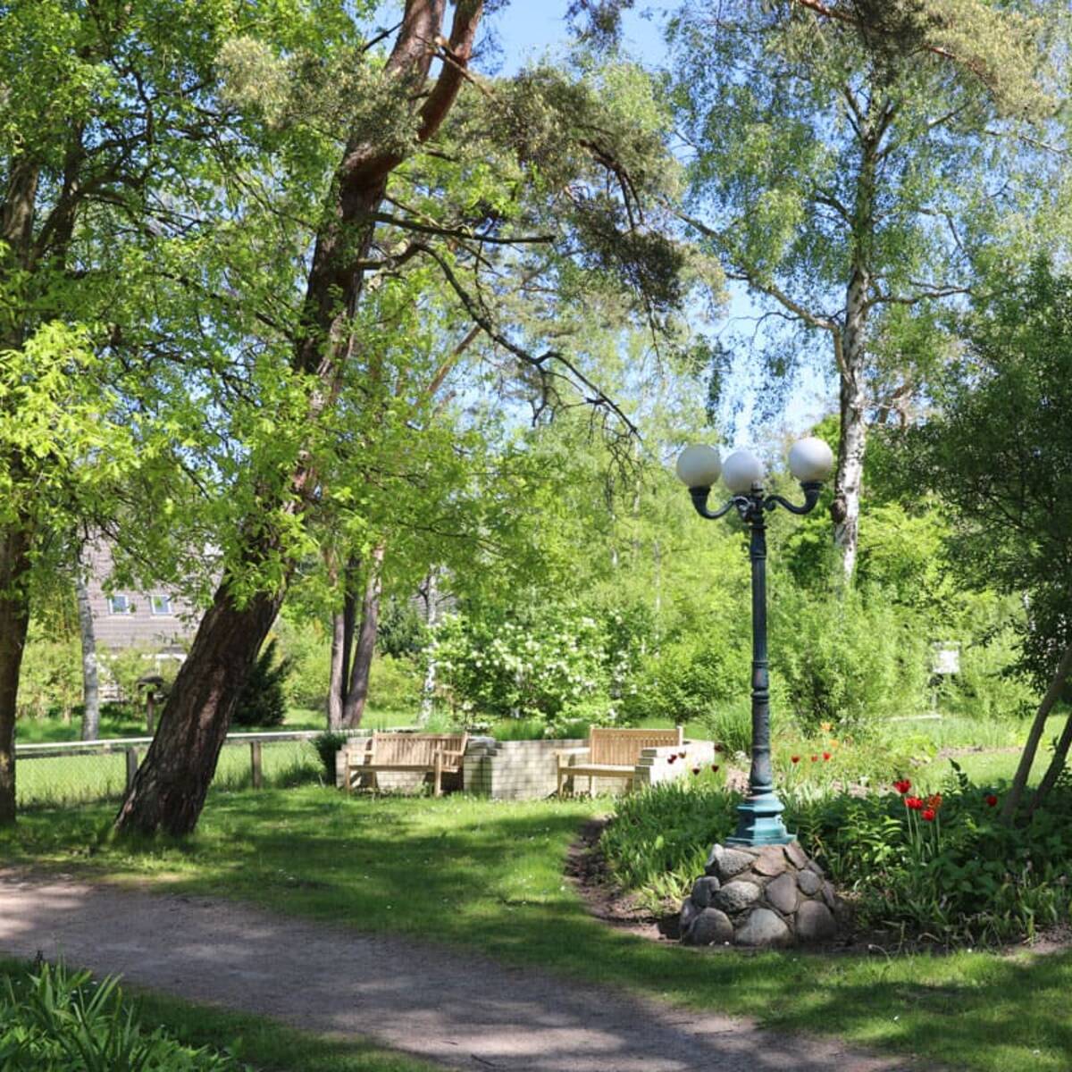 Kurpark Dierhagen