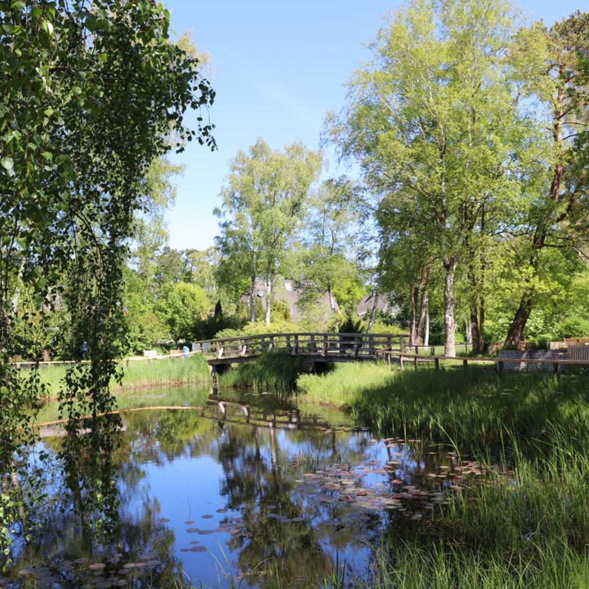 Kurpark Dierhagen – Brücke